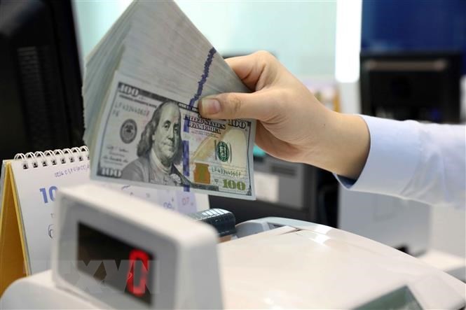 Зарубежные денежные переводы в город Хошимин за первые 9 месяцев превзошли весь 2022 год - ảnh 1