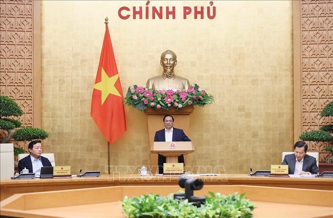 Премьер-министр Фам Минь Тинь председательствовал на ноябрьском правительственном заседании - ảnh 1