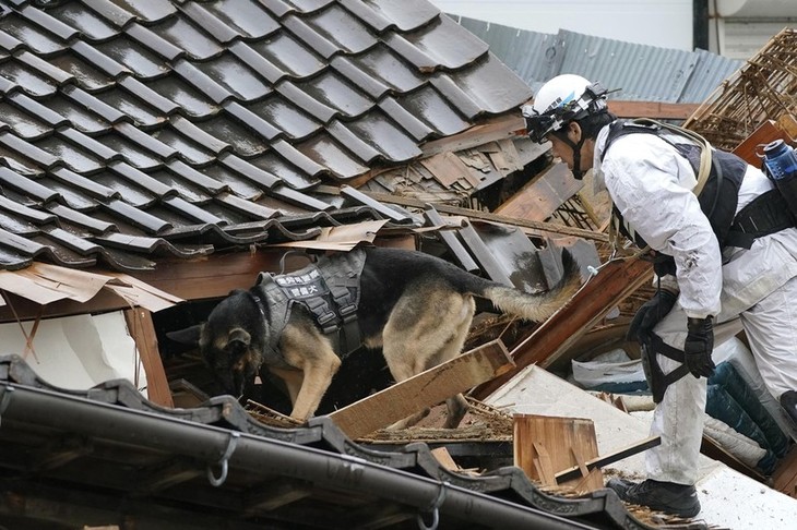 Власти Японии: число жертв землетрясения увеличилось до 84 человек, 79 пропали без вести - ảnh 1