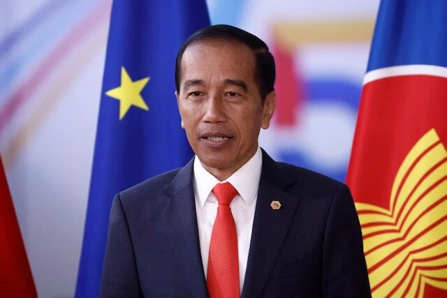 Президент Индонезии посещает Вьетнам с государственным визитом - ảnh 1