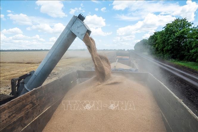 Некоторые члены ЕС запросили ввести пошлину на импорт украинского зерна  - ảnh 1