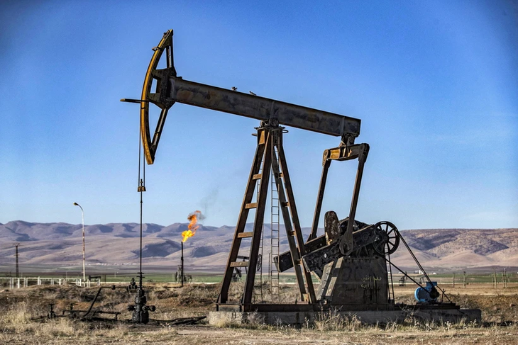 МЭА прогнозирует снижение мирового спроса на нефть в 2024 году - ảnh 1