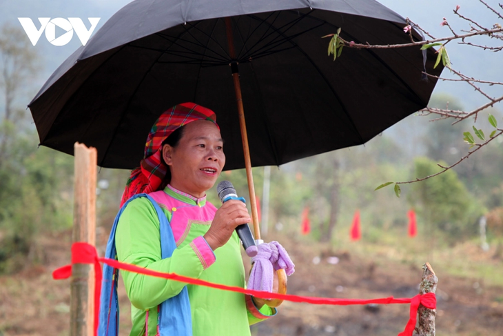 Церемония встречи невесты народности  Зяй в провинции Лайчау - ảnh 11