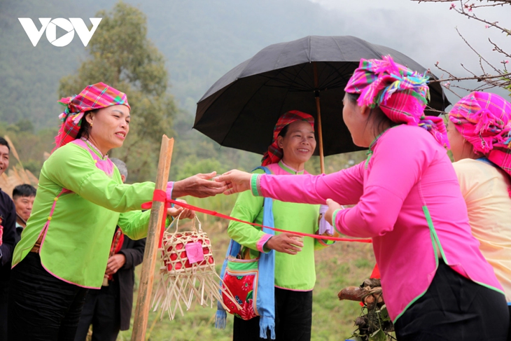 Церемония встречи невесты народности  Зяй в провинции Лайчау - ảnh 13