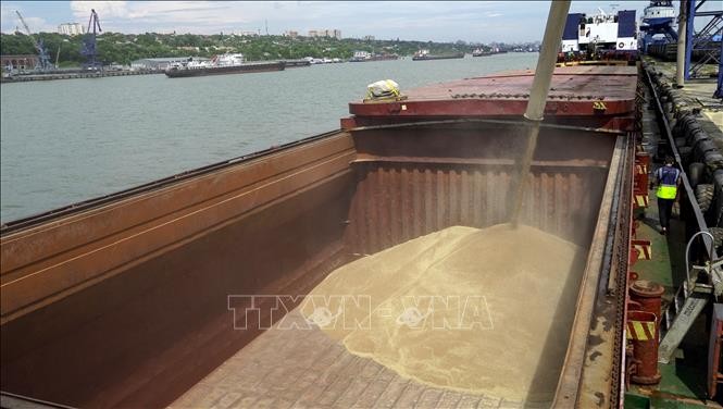 Россия поставила 200 тыс. тонн зерна в шесть стран Африки - ảnh 1