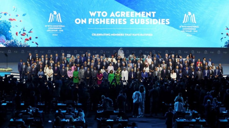 Министерская конференция ВТО завершилась без важных прорывов - ảnh 1