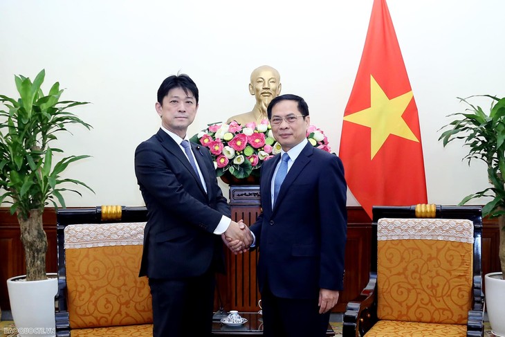 Содействие конкретизации рамок отношений всеобъемлющего стратегического партнерства между Вьетнамом и Японией - ảnh 1