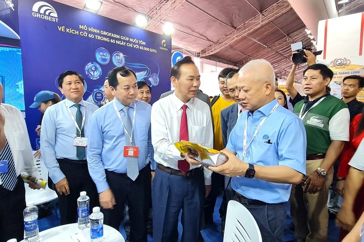 Ожидается, что экспорт вьетнамской креветки вырастет на 15% - ảnh 1