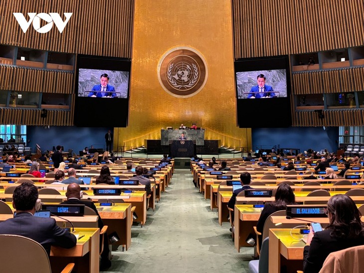Генеральная Ассамблея ООН приняла предложенный Вьетнамом проект резолюции о Международном дне игры - ảnh 1