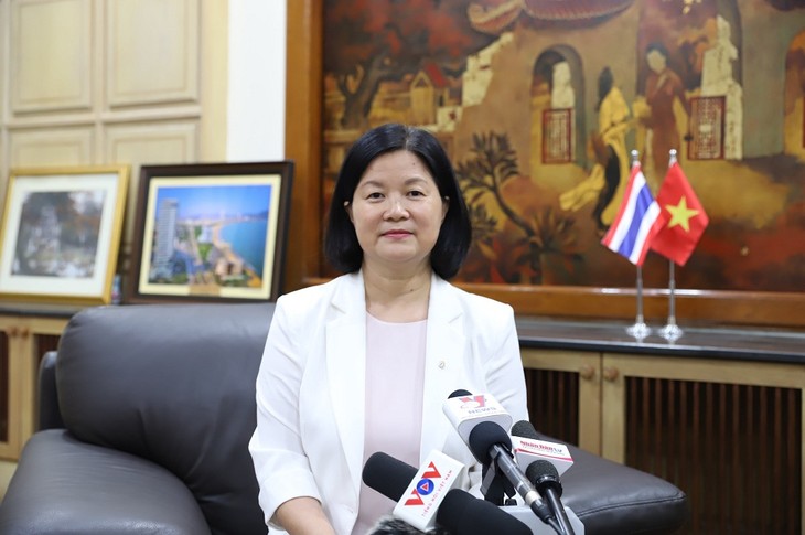 Визит главы МИДа Буй Тхань Шон способствует продвижению и укреплению стратегического партнерства между Вьетнамом и Таиландом - ảnh 1