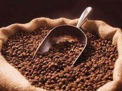 Vietnam becomes world’s number 1 coffee exporter - ảnh 1