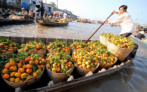 Explore Mekong River Delta - ảnh 2