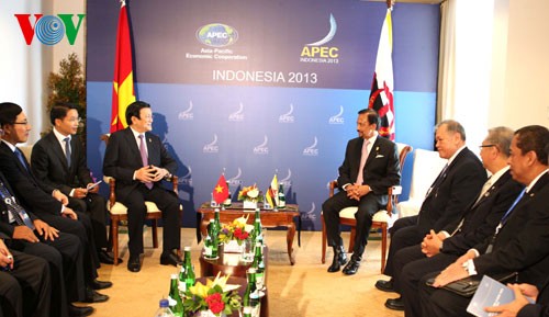 President Truong Tan Sang holds bilateral talks at APEC Summit - ảnh 2
