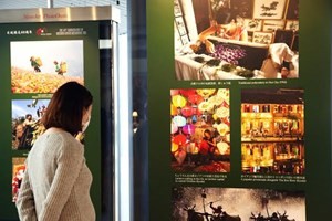 Photographic exhibit marks 40th anniversary of Vietnam-Japan diplomatic ties - ảnh 1