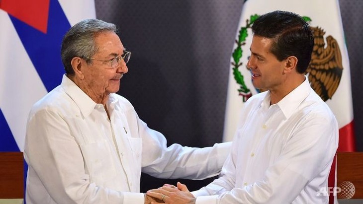 Cuban President Raul Castro begins state visit to Mexico  - ảnh 1