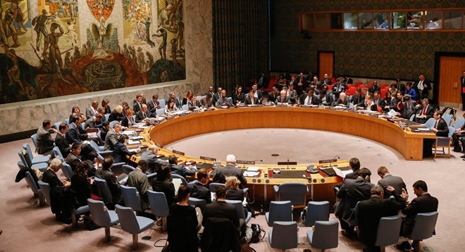 Japan plans to push for reforms to UN Security Council - ảnh 1