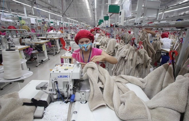 Foundation for Vietnam-Mexico garment cooperation - ảnh 1
