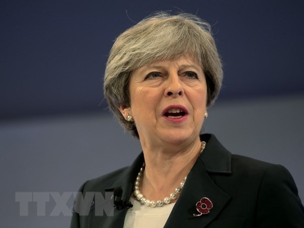 UK: Conservatives pressure PM on post-Brexit policy - ảnh 1