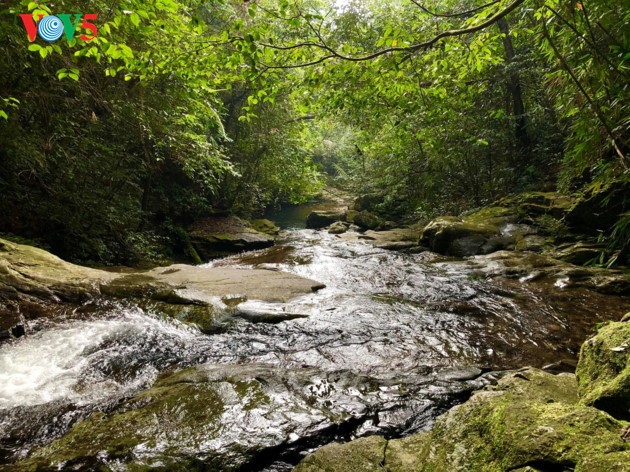 The adventurous path through Ngu Ho to Do Quyen waterfall - ảnh 4