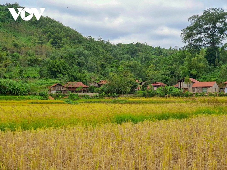 Discovering peaceful meadow in northern mountainous province - ảnh 6