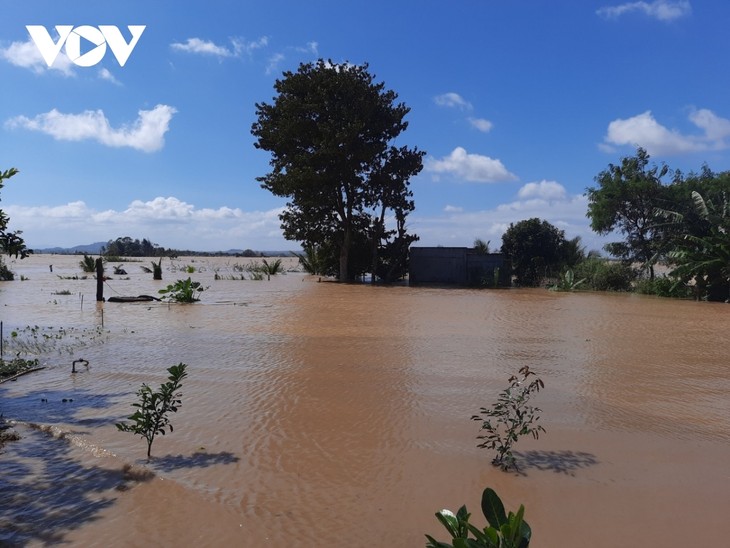 Dak Lak, Dak Nong provinces endure serious flooding despite halt in rain - ảnh 9