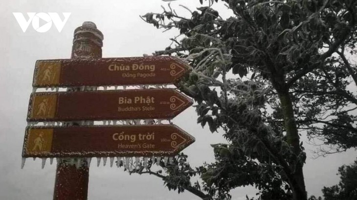 Băng giá phủ trắng trên đỉnh Mẫu Sơn, Yên Tử, Phja Oắc - ảnh 17