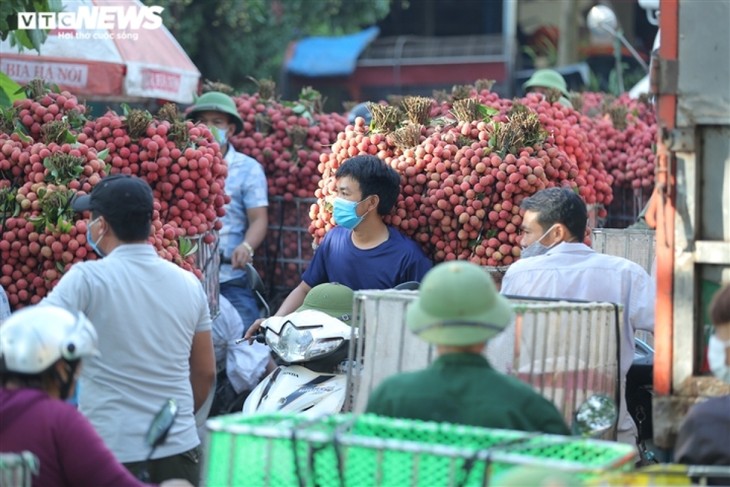 Exploring the lychee capital of Vietnam in harvest season - ảnh 6