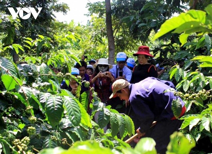 Việt Nam: Du lịch xanh - phát triển du lịch bền vững - ảnh 11