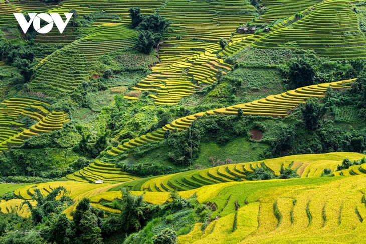 Việt Nam: Du lịch xanh - phát triển du lịch bền vững - ảnh 5