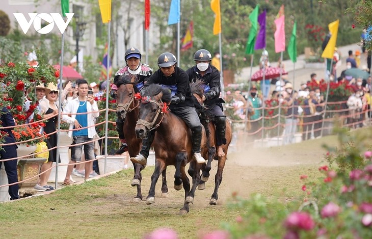 Hấp dẫn giải đua “Vó ngựa trên mây” giữa thung lũng hoa hồng lớn nhất Việt Nam - ảnh 3