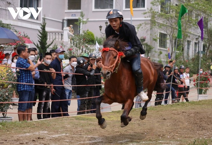 Hấp dẫn giải đua “Vó ngựa trên mây” giữa thung lũng hoa hồng lớn nhất Việt Nam - ảnh 6