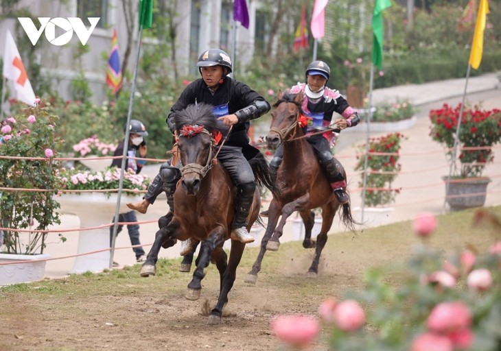Hấp dẫn giải đua “Vó ngựa trên mây” giữa thung lũng hoa hồng lớn nhất Việt Nam - ảnh 7