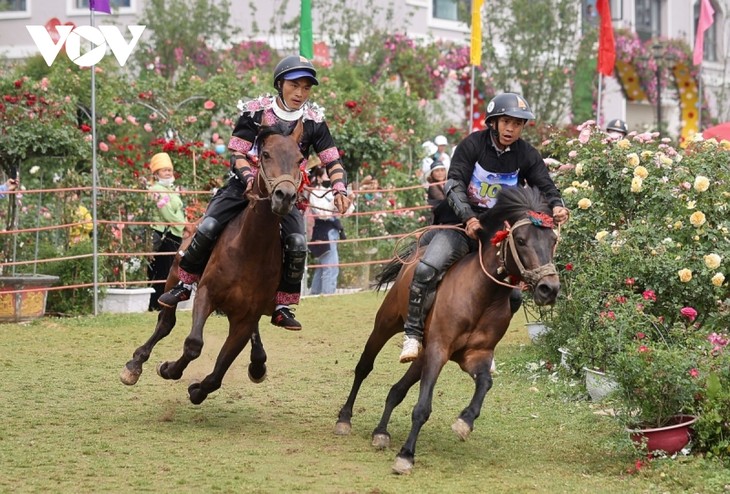 Hấp dẫn giải đua “Vó ngựa trên mây” giữa thung lũng hoa hồng lớn nhất Việt Nam - ảnh 8