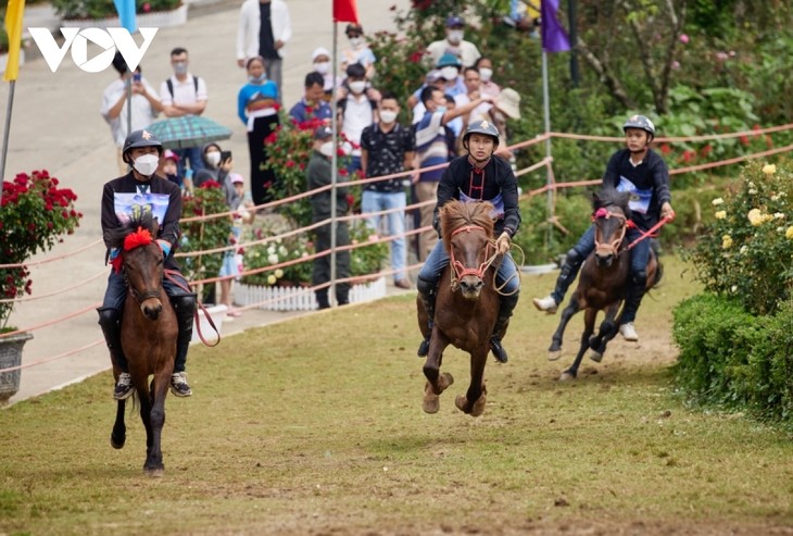 Hấp dẫn giải đua “Vó ngựa trên mây” giữa thung lũng hoa hồng lớn nhất Việt Nam - ảnh 9