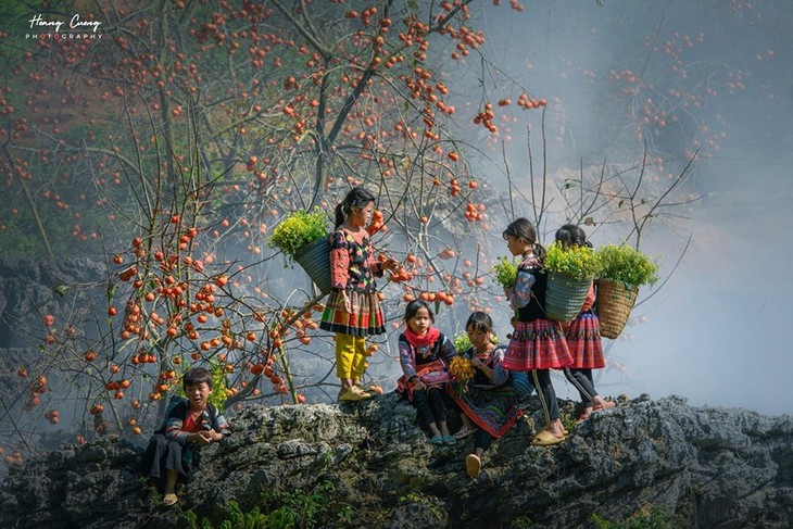 Mùa hồng trên cao nguyên Mộc Châu - ảnh 7