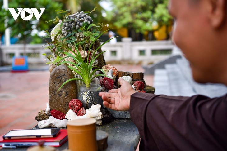 Ghé thăm ngôi chùa thanh bình trên đảo Sinh Tồn Đông - ảnh 11