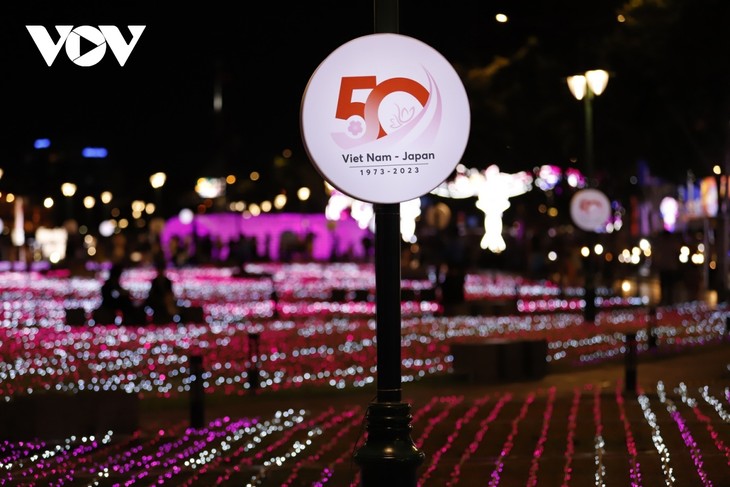 TP. Hồ Chí Minh trang trí đèn nghệ thuật kỷ niệm 50 năm quan hệ ngoại giao Việt Nam – Nhật Bản - ảnh 1