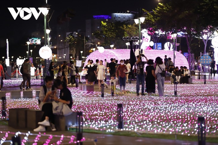TP. Hồ Chí Minh trang trí đèn nghệ thuật kỷ niệm 50 năm quan hệ ngoại giao Việt Nam – Nhật Bản - ảnh 8