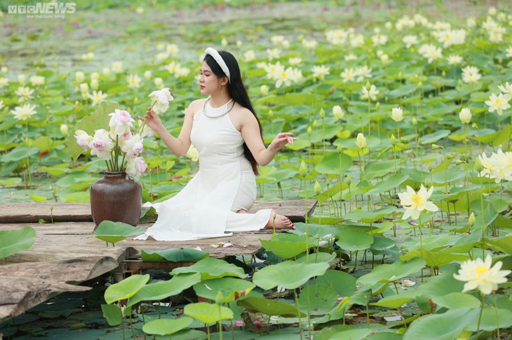 Ngắm cánh đồng sen đẹp hút hồn tại khuôn viên Học viện Nông nghiệp Việt Nam - ảnh 9