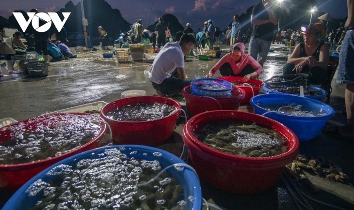 Chợ cá hừng đông bên vịnh Bái Tử Long - ảnh 3
