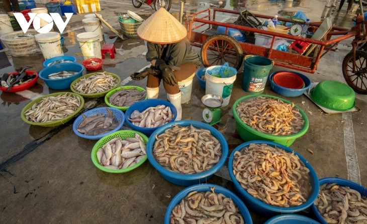 Chợ cá hừng đông bên vịnh Bái Tử Long - ảnh 7