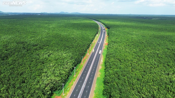 Mê mẩn rừng cao su xanh mướt ôm trọn cao tốc Dầu Giây - Phan Thiết - ảnh 8