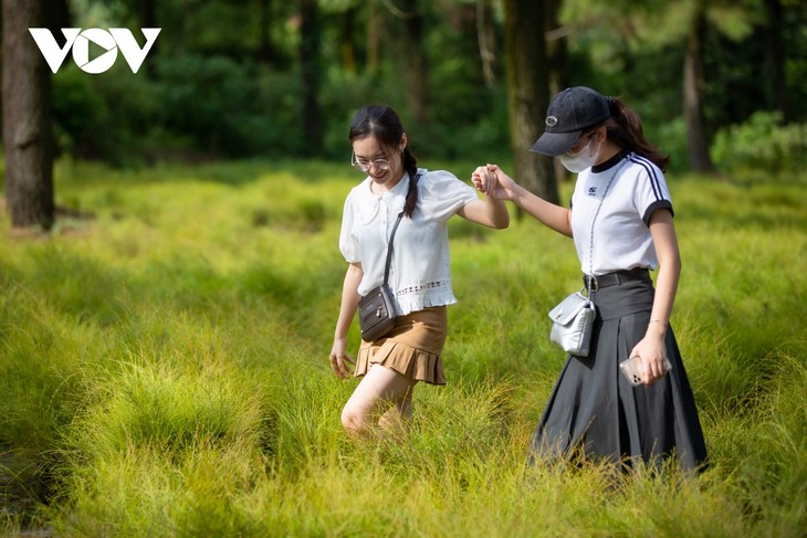 Check-in cánh đồng rễ đẹp mơ màng ở Chí Linh, Hải Dương - ảnh 15