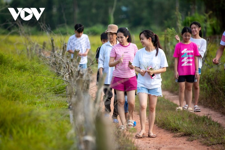 Check-in cánh đồng rễ đẹp mơ màng ở Chí Linh, Hải Dương - ảnh 16