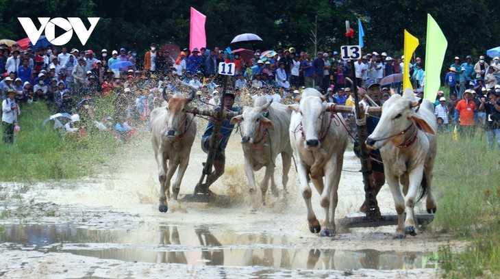 Hơn 25.000 người đến xem và cổ vũ Hội đua bò Bảy Núi - ảnh 11