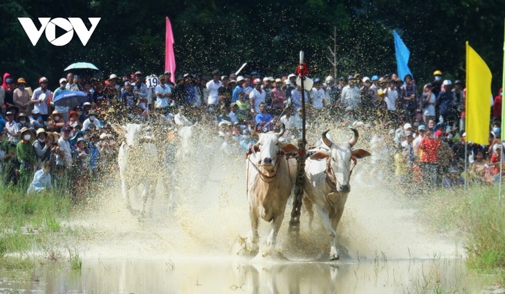 Hơn 25.000 người đến xem và cổ vũ Hội đua bò Bảy Núi - ảnh 14