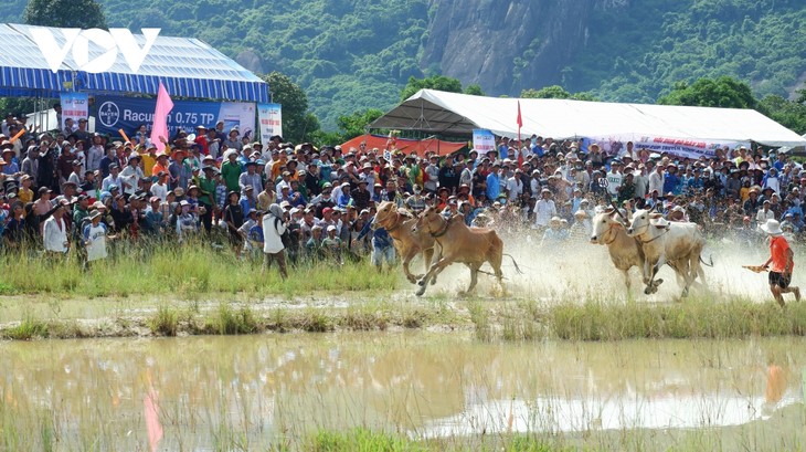 Hơn 25.000 người đến xem và cổ vũ Hội đua bò Bảy Núi - ảnh 7