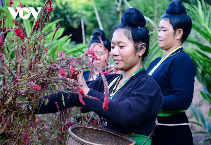 Nỗ lực bảo tồn văn hoá đặc sắc của người Cống ở Điện Biên - ảnh 11