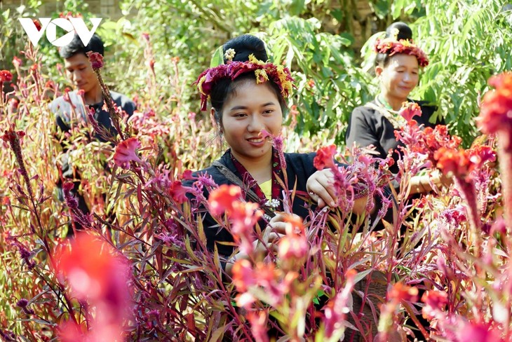 Nỗ lực bảo tồn văn hoá đặc sắc của người Cống ở Điện Biên - ảnh 9
