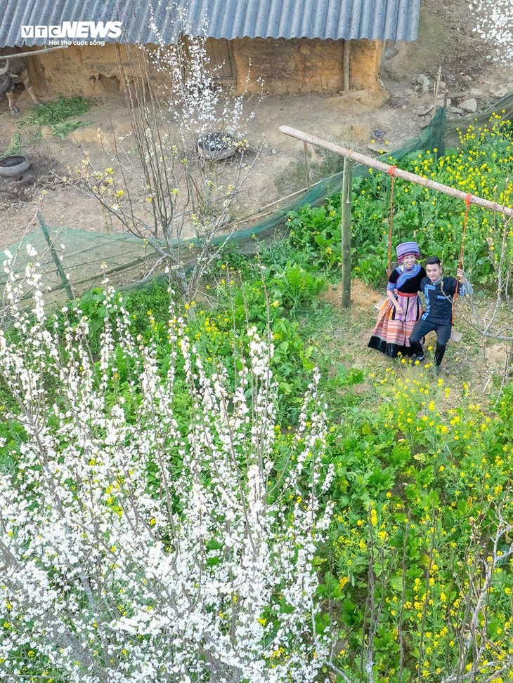 Cao nguyên Tả Van Chư đẹp yên bình mùa hoa mận trắng - ảnh 9